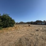 Satılır Torpaq, Şüvəlan, Xəzər rayonu 8