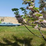 Продажа Участок, Сарай, Абшерон район 2