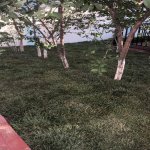 Satılır 3 otaqlı Bağ evi, Novxanı, Abşeron rayonu 16