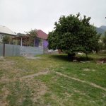 Satılır Torpaq Qəbələ 1