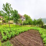 Satılır 6 otaqlı Bağ evi İsmayıllı 11