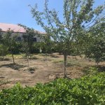 Продажа 5 комнат Дача, Шювалан, Хязяр район 5