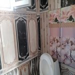 Kirayə (aylıq) 1 otaqlı Həyət evi/villa, 28 May metrosu, Nəsimi rayonu 8
