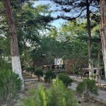 Kirayə (aylıq) Obyekt, Neftçilər metrosu, Nizami rayonu 5