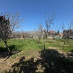 Продажа Участок, Мярдякан, Хязяр район 5