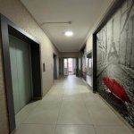Kirayə (aylıq) 3 otaqlı Yeni Tikili, Gənclik metrosu, Dədə Qorqud parkı, Nərimanov rayonu 18