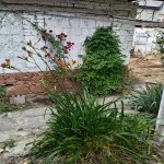Satılır 3 otaqlı Həyət evi/villa Xızı 10