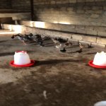 Satılır 6 otaqlı Həyət evi/villa, Novxanı, Abşeron rayonu 45