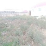Satılır Torpaq, Koroğlu metrosu, Kürdəxanı qəs., Sabunçu rayonu 4