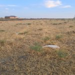 Продажа Участок, Сарай, Абшерон район 15