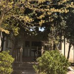 Kirayə (aylıq) 7 otaqlı Bağ evi, Goradil, Abşeron rayonu 7