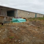 Satılır Obyekt Şabran 8