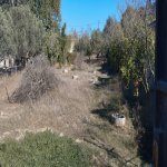 Satılır Torpaq, Bilgəh qəs., Sabunçu rayonu 2