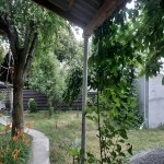 Kirayə (günlük) 3 otaqlı Həyət evi/villa Qəbələ 27