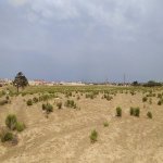 Satılır Torpaq, Zabrat qəs., Sabunçu rayonu 7