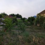 Satılır Torpaq, Novxanı, Abşeron rayonu 5