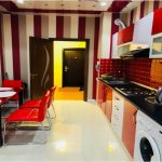 Kirayə (aylıq) 2 otaqlı Yeni Tikili, Nəriman Nərimanov metrosu, Nərimanov rayonu 9