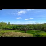 Satılır Torpaq Qəbələ 14