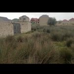 Satılır Torpaq, Saray, Abşeron rayonu 2