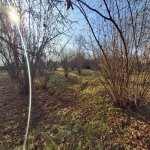 Satılır Torpaq Qəbələ 4