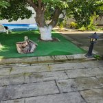 Kirayə (aylıq) 4 otaqlı Bağ evi, Mərdəkan, Xəzər rayonu 11