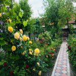 Satılır 3 otaqlı Həyət evi/villa Zaqatala 3