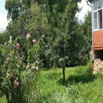 Satılır 5 otaqlı Həyət evi/villa İsmayıllı 13