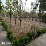 Satılır 3 otaqlı Bağ evi, Bilgəh qəs., Sabunçu rayonu 7
