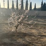 Satılır Torpaq, Novxanı, Abşeron rayonu 2