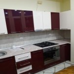 Kirayə (aylıq) 2 otaqlı Yeni Tikili, 28 May metrosu, Nəsimi rayonu 11