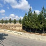 Продажа Участок, Мярдякан, Хязяр район 3