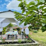 Kirayə (günlük) 4 otaqlı Bağ evi İsmayıllı 4