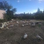 Satılır Torpaq, Mehdiabad, Abşeron rayonu 3