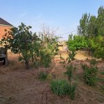 Satılır Torpaq, Ceyranbatan qəs., Abşeron rayonu 5