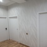 Kirayə (aylıq) 2 otaqlı Yeni Tikili, Nərimanov rayonu 10
