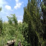 Satılır 6 otaqlı Həyət evi/villa, Bilgəh qəs., Sabunçu rayonu 4