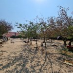 Satılır Torpaq, Mərdəkan, Xəzər rayonu 1
