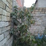 Satılır 5 otaqlı Həyət evi/villa, Koroğlu metrosu, Zabrat qəs., Sabunçu rayonu 26