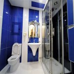 Kirayə (aylıq) 5 otaqlı Yeni Tikili, Gənclik metrosu, Nərimanov rayonu 11