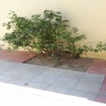 Satılır 3 otaqlı Həyət evi/villa Xırdalan 6