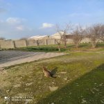 Продажа 4 комнат Дача, м. Короглу метро, пос. Маштага, Сабунчу район 3