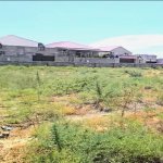 Satılır Torpaq, Zabrat qəs., Sabunçu rayonu 1