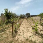 Satılır 4 otaqlı Həyət evi/villa, Novxanı, Abşeron rayonu 3