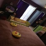 Satılır 3 otaqlı Xarici Əmlak 10