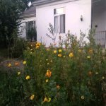 Kirayə (günlük) 3 otaqlı Həyət evi/villa Qusar 17