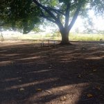 Satılır 3 otaqlı Həyət evi/villa Ağstafa 12