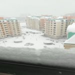 Kirayə (aylıq) 2 otaqlı Yeni Tikili Sumqayıt 2