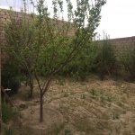 Satılır 6 otaqlı Bağ evi, Saray, Abşeron rayonu 34