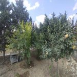 Продажа 5 комнатная Дома/Виллы, Гала, Хязяр район 3