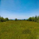 Satılır Torpaq Qəbələ 12